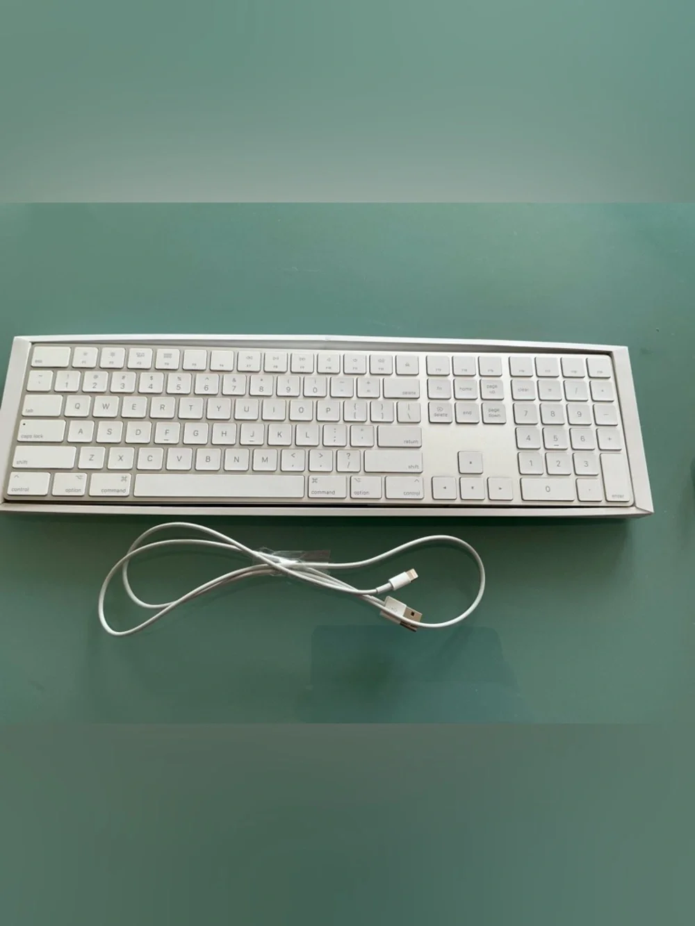 Apple Magic Keyboard - White and Silver New